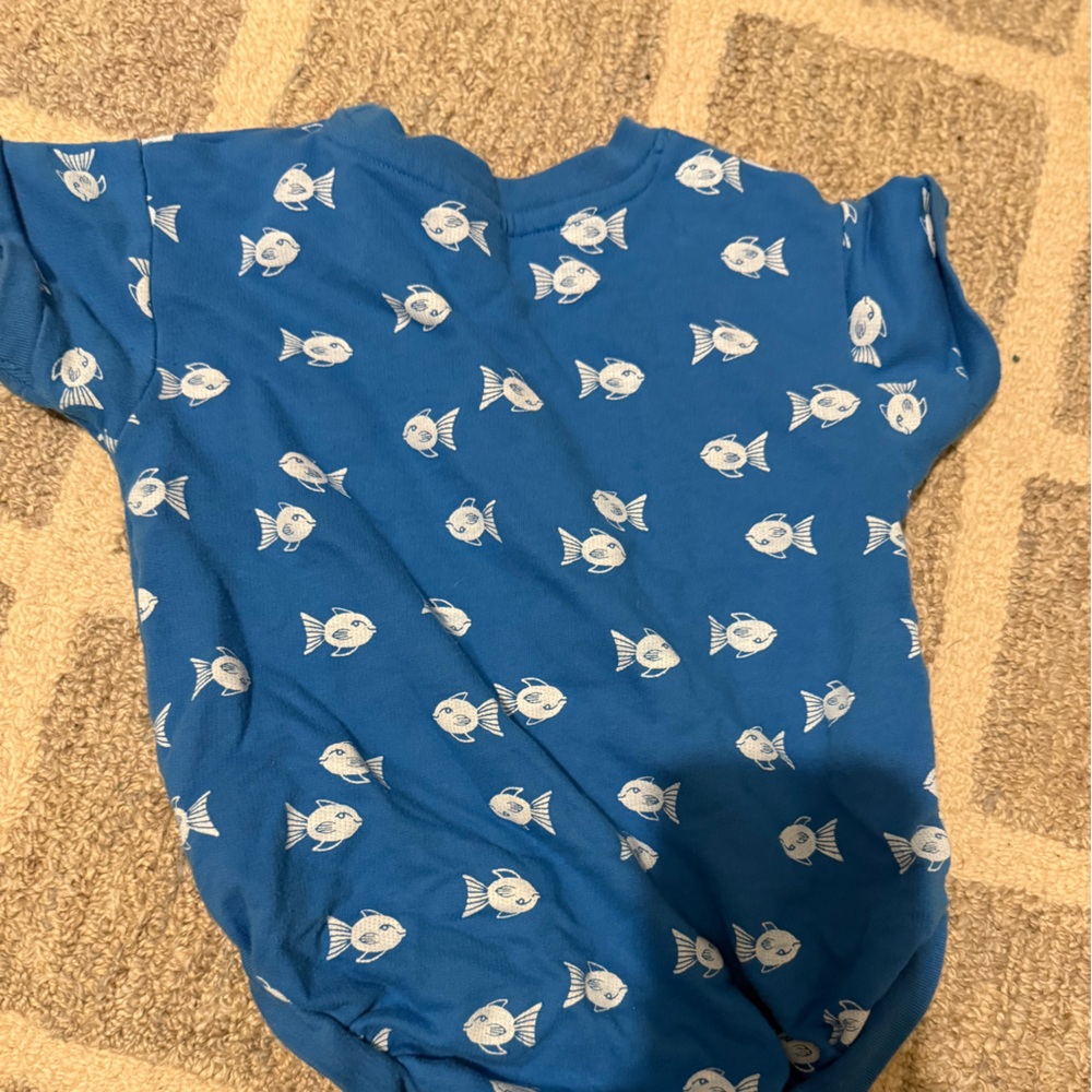 Fish bubble size 18 months